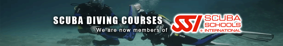 Scuba Diving Courses